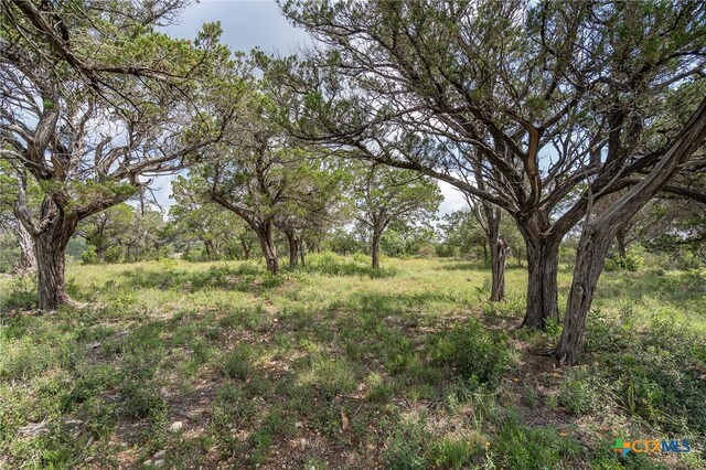 19705 Tyler Trl, Jonestown, TX 78645 - photo 13