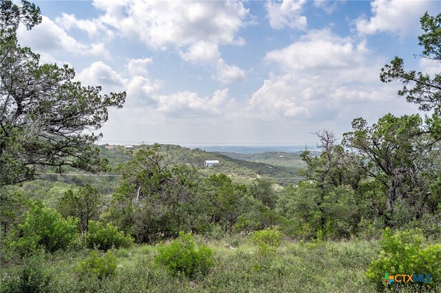 19705 Tyler Trl, Jonestown, TX 78645 - photo 17