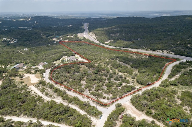 19705 Tyler Trl, Jonestown, TX 78645 - photo 30
