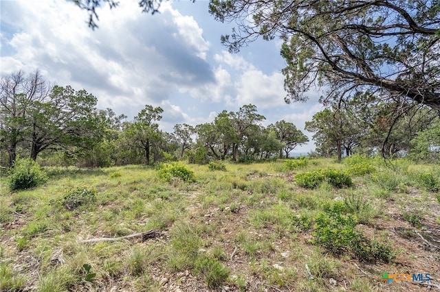 19705 Tyler Trl, Jonestown, TX 78645 - photo 7