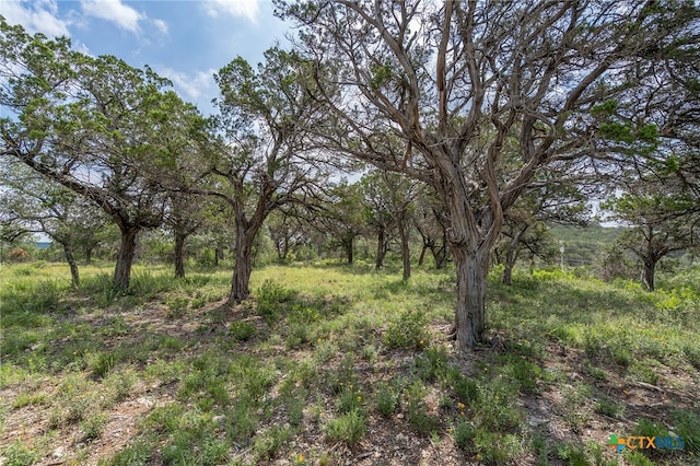 19705 Tyler Trl, Jonestown, TX 78645 - photo 12