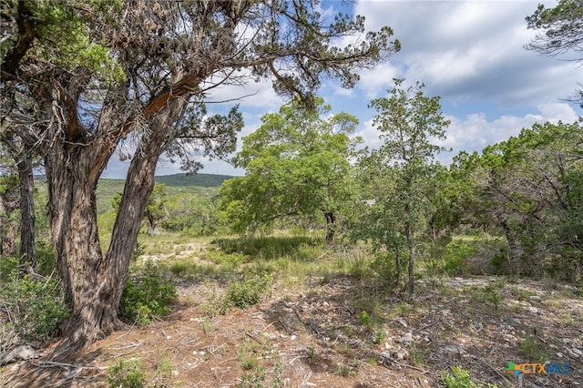 19705 Tyler Trl, Jonestown, TX 78645 - photo 8