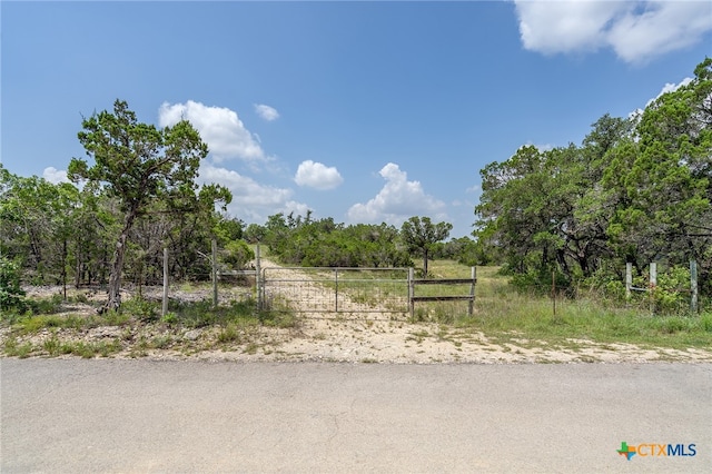 19705 Tyler Trl, Jonestown, TX 78645 - photo 1