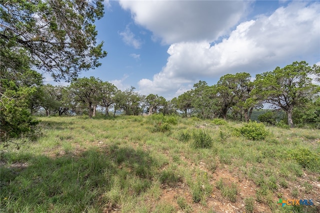 19705 Tyler Trl, Jonestown, TX 78645 - photo 6