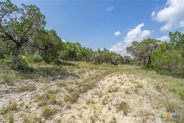 19705 Tyler Trl, Jonestown, TX 78645 - photo 22