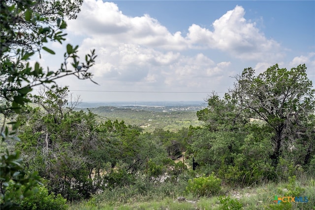 19705 Tyler Trl, Jonestown, TX 78645 - photo 18