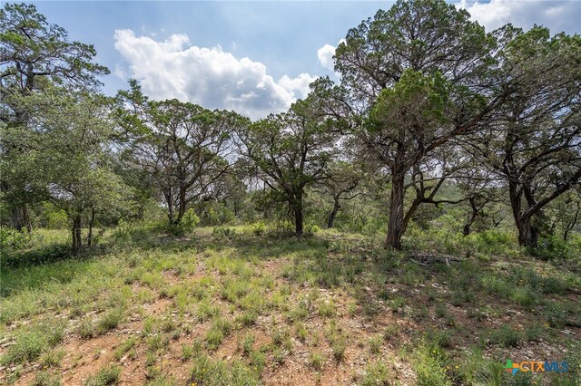 19705 Tyler Trl, Jonestown, TX 78645 - photo 15