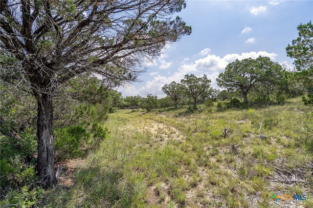 19705 Tyler Trl, Jonestown, TX 78645 - photo 24