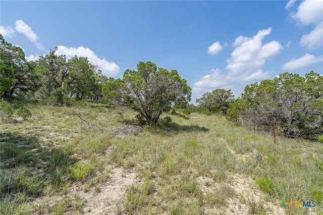 19705 Tyler Trl, Jonestown, TX 78645 - photo 23