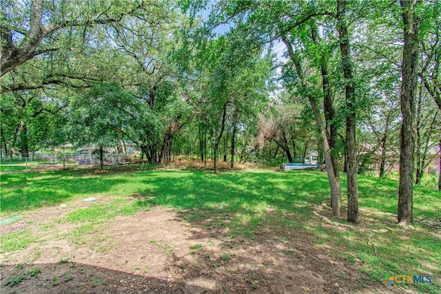 568 Morgans Point Rd, Belton, TX 76513 - view of yard