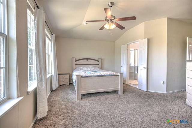 9505 Shimla Dr, Killeen, TX 76542 - carpeted bedroom with multiple windows, lofted ceiling, ceiling fan, and baseboards