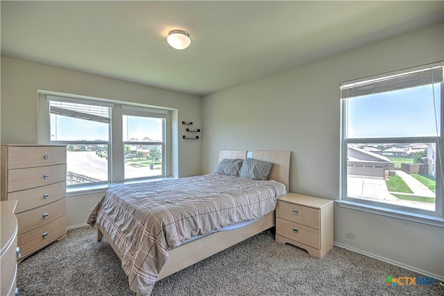 9505 Shimla Dr, Killeen, TX 76542 - bedroom with multiple windows and light carpet