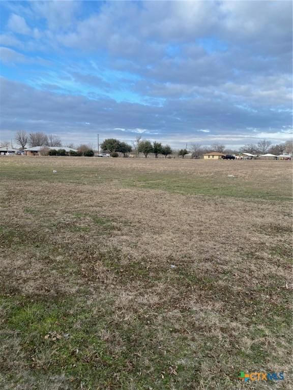 view of yard with a rural view