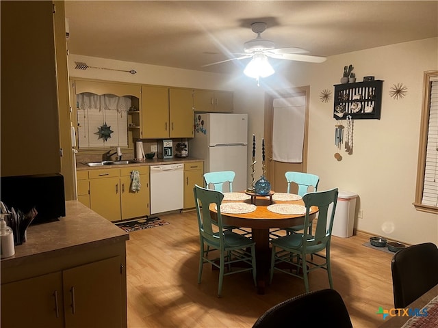 kitchen featuring white appliances, sink, ceiling fan, and light hardwood / wood-style flooring