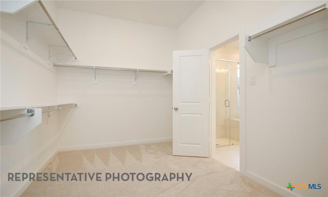 walk in closet with carpet floors