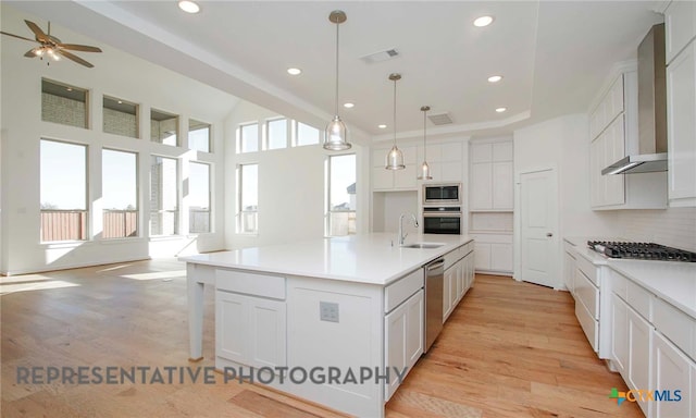 kitchen featuring a sink, wall chimney exhaust hood, light wood-type flooring, and stainless steel appliances