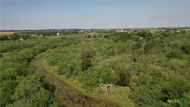 6130 Turnersville Rd, Creedmoor, TX 78610 - photo 6