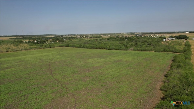 6130 Turnersville Rd, Creedmoor, TX 78610 - photo 10