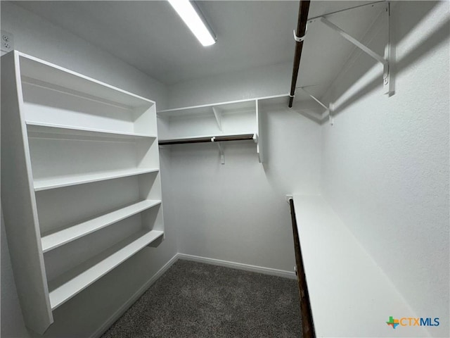 walk in closet featuring dark carpet