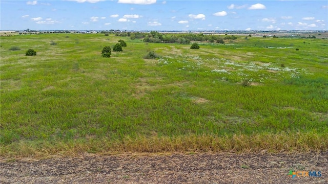 TBD County Road 455, Coupland, TX 78615 - photo 15