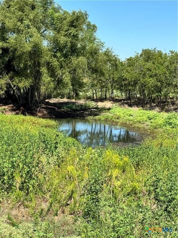 TBD County Road 455, Coupland, TX 78615 - photo 20