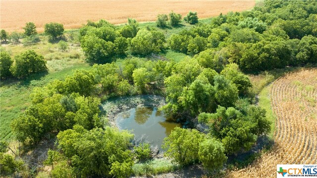 TBD County Road 418b, Thorndale, TX 76577