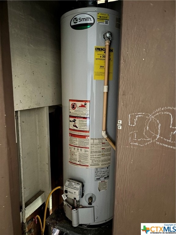 utility room with gas water heater