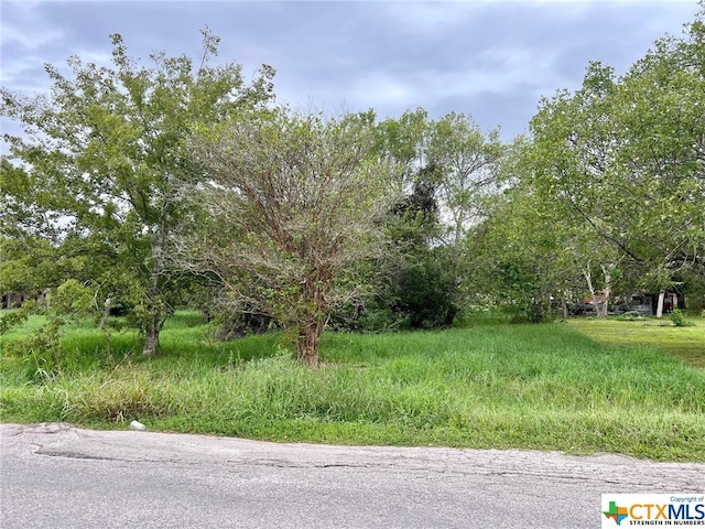 Listing photo 3 for 00 S Colorado, Edna TX 77957