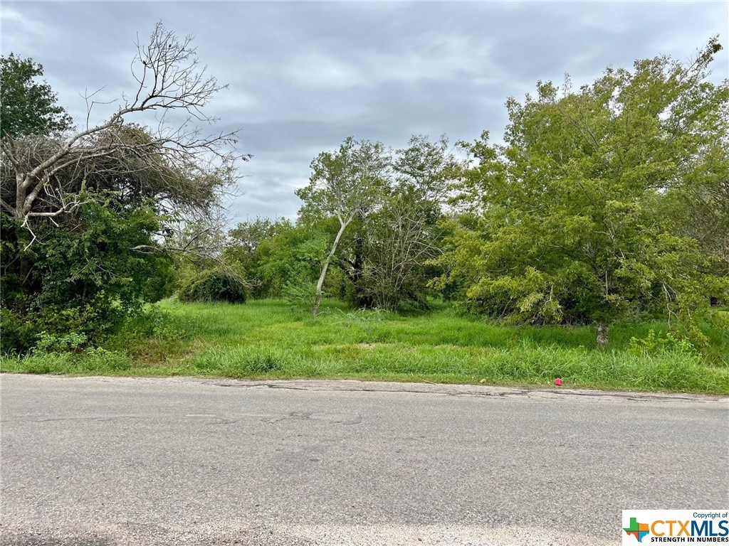 00 S Colorado, Edna, TX 77957 - photo 1