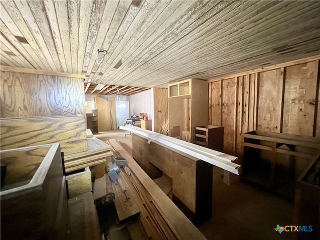 view of sauna / steam room featuring wooden walls and wooden ceiling