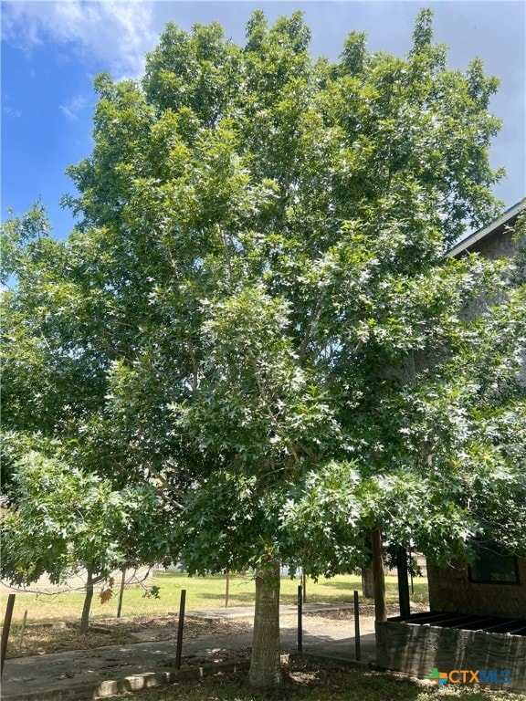 1902 N Mcleod St, Cuero, TX 77954 - photo 43