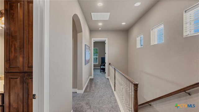 hall with light colored carpet and a healthy amount of sunlight