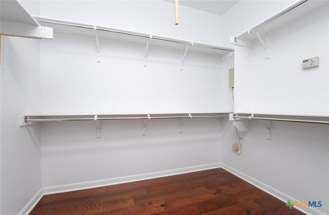 walk in closet featuring wood-type flooring