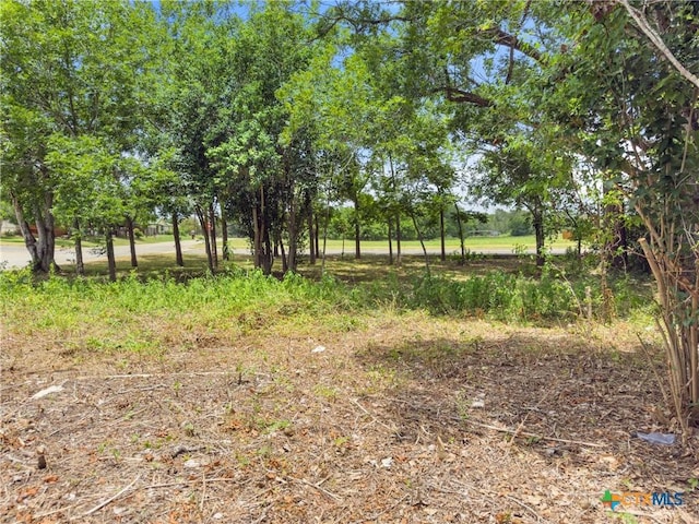 1140 N Hackberry Ave, Luling, TX 78648