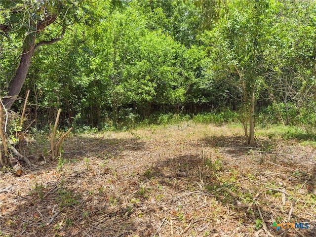 1140 N Hackberry Ave, Luling, TX 78648