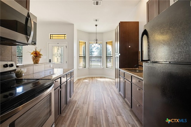 180 Jim Bowie Dr, Paige, TX 78659 - kitchen with appliances with stainless steel finishes, light wood-type flooring, a sink, dark brown cabinetry, and plenty of natural light