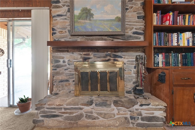 details featuring carpet flooring and a fireplace