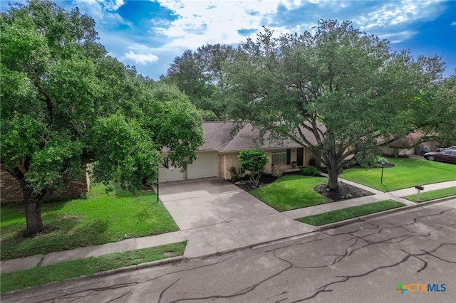 401 Hampshire St, Victoria, TX 77904 - view of property hidden behind natural elements featuring concrete driveway, a garage, and a front yard