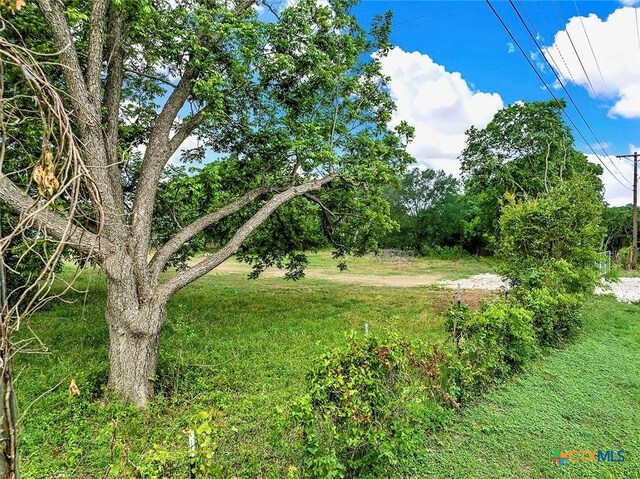 1210 Old Martindale Rd, San Marcos, TX 78666 - view of yard