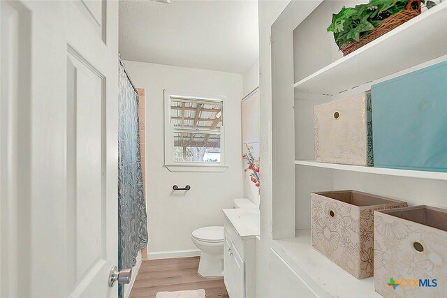 1210 Old Martindale Rd, San Marcos, TX 78666 - bathroom featuring toilet, wood finished floors, a shower with shower curtain, baseboards, and vanity