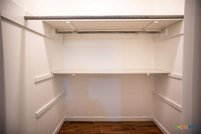 248 Park Rd, Port Lavaca, TX 77979 - spacious closet with dark wood-style floors