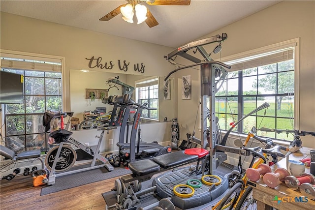 507 Hackberry Bnd, Port Lavaca, TX 77979 - exercise room featuring ceiling fan and wood finished floors