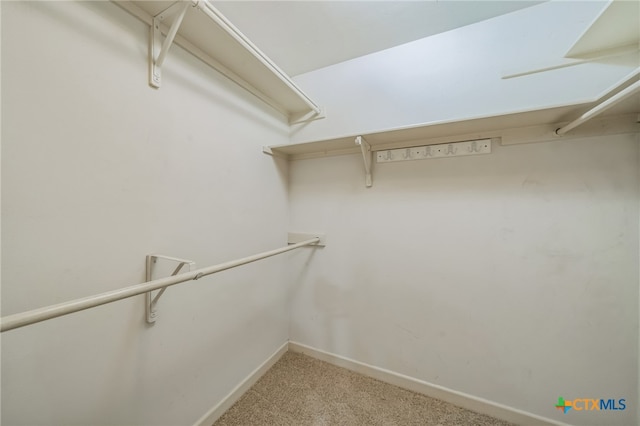 spacious closet with light colored carpet