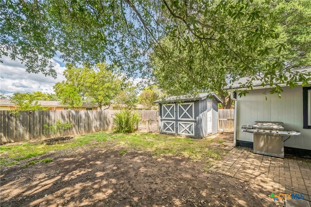 view of yard with a shed