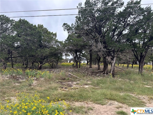 15975 Crockett Dr, Temple TX, 76502 land for sale