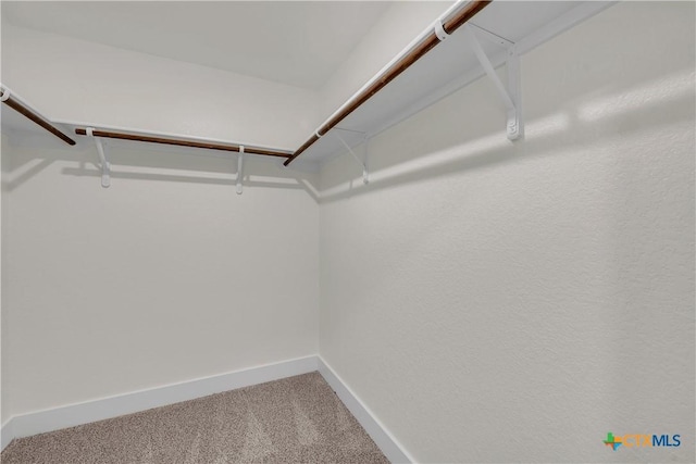 spacious closet with carpet floors