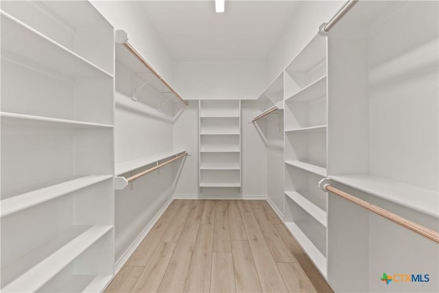 301 Canyon Oaks Rd, Troy, TX 76579 - walk in closet with light wood-style floors