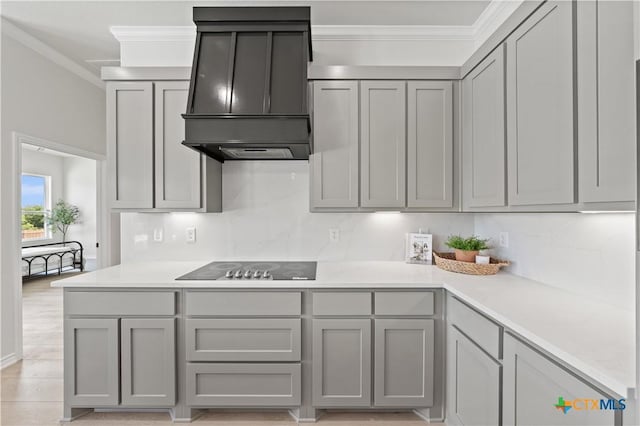 301 Canyon Oaks Rd, Troy, TX 76579 - kitchen featuring premium range hood, ornamental molding, gray cabinets, and tasteful backsplash
