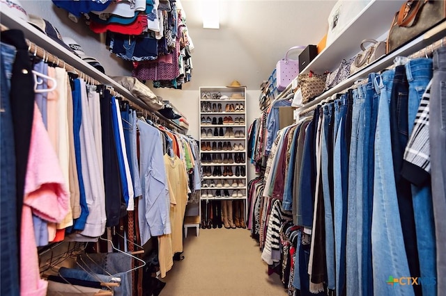 spacious closet with carpet flooring