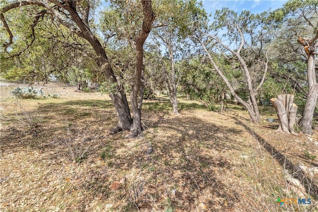 667 Fredericksburg Rd, New Braunfels, TX 78130 - view of yard